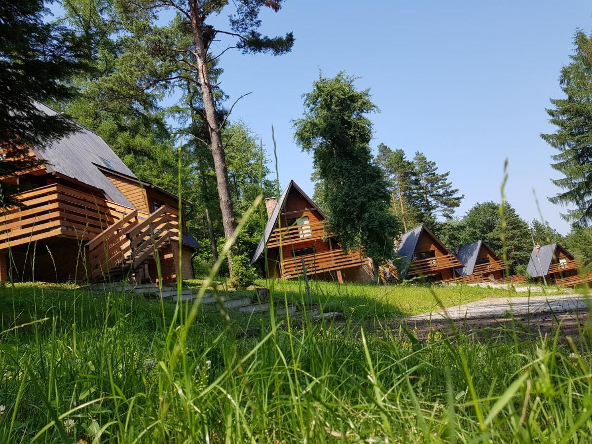 Osrodek Wczasow Zdrowotnych Rudawka Rymanowska Apartment Екстериор снимка