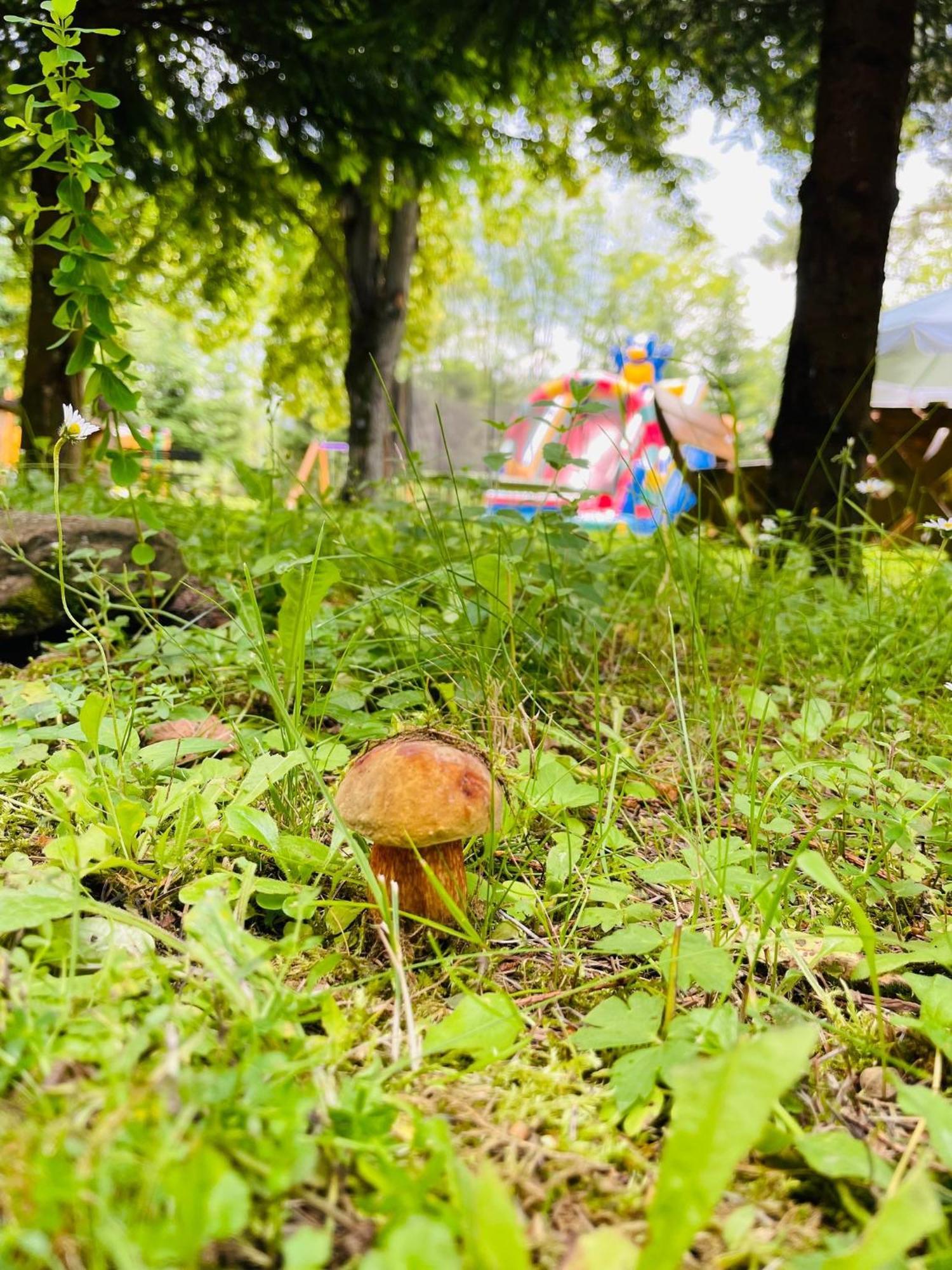 Osrodek Wczasow Zdrowotnych Rudawka Rymanowska Apartment Екстериор снимка